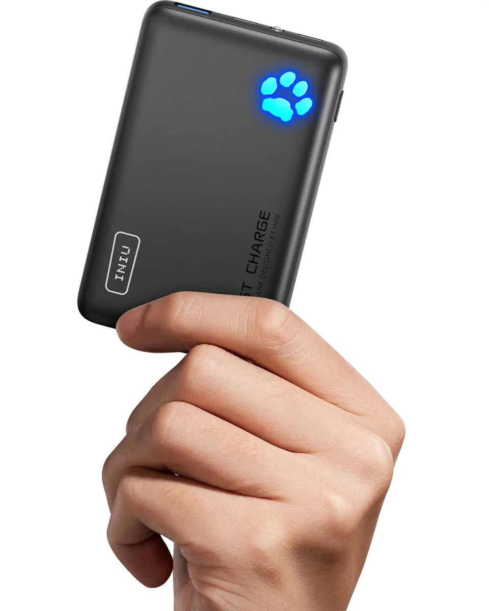 INIU PowerPaw 10K Power Bank